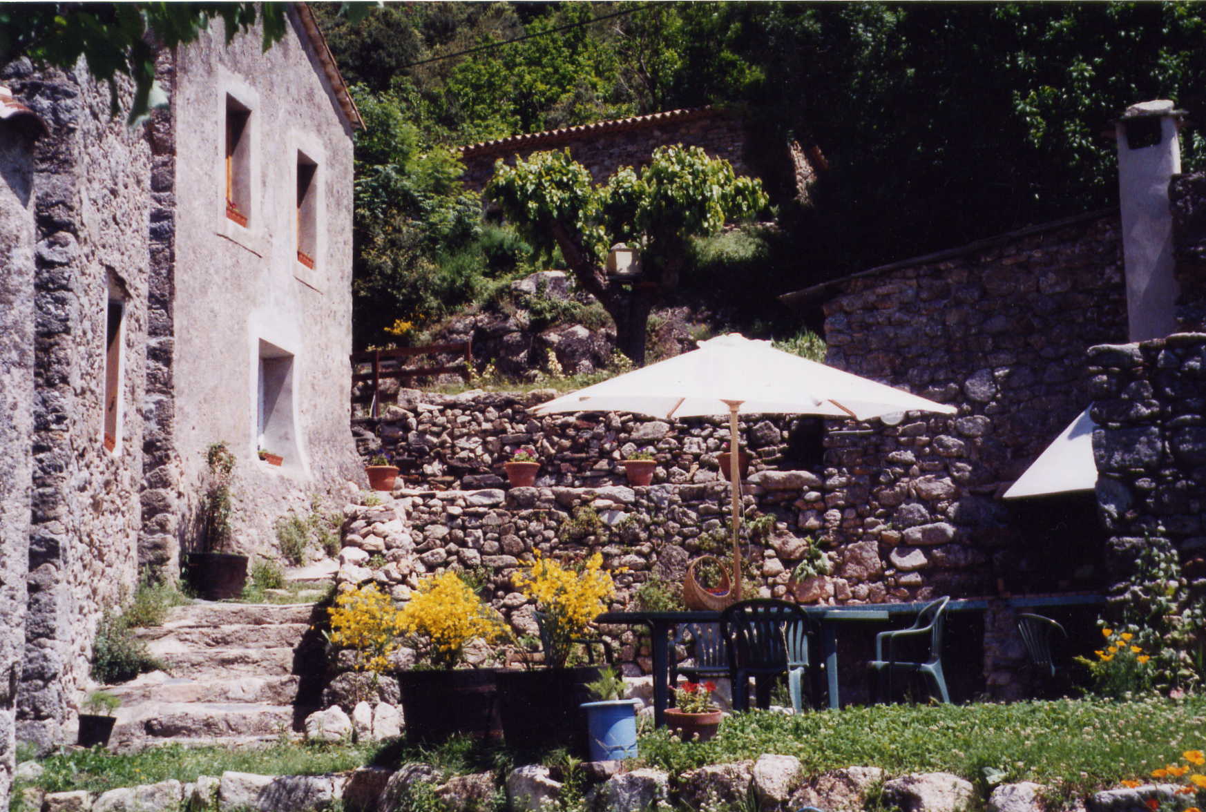 Location g�te en C�vennes. Le g�te, vue du jardin