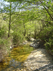 Location gite et chambres d'htes en Cvennes - paysage de la valle du Rieutord