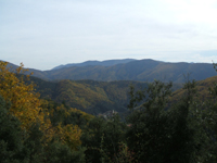 cottage for hire in the Cvennes and Bed & Breakfast accomodation.Vue on the mountain from the cottage's private garden