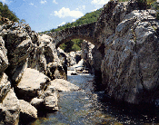 Location gite et chambres d'htes en Cvennes - paysage de la valle du Rieutord