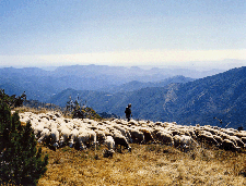 Location gite et chambres d'htes en Cvennes - paysage du pays viganais