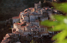 Location chambres d'htes en Cvennes - vue de la salle de sjour